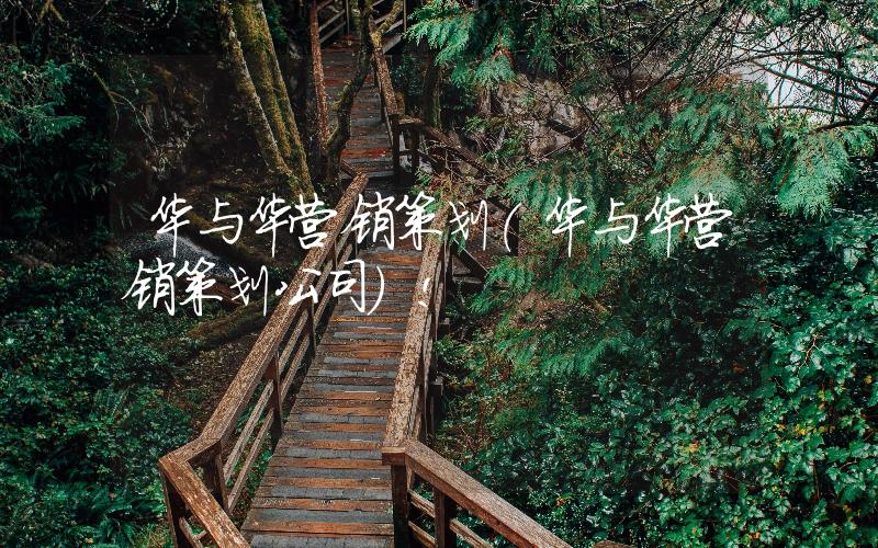 華與華營(yíng)銷策劃(華與華營(yíng)銷策劃公司)