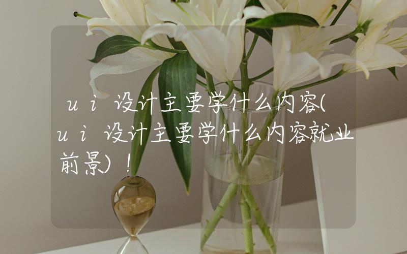 ui設(shè)計(jì)主要學(xué)什么內(nèi)容(ui設(shè)計(jì)主要學(xué)什么內(nèi)容就業(yè)前景)