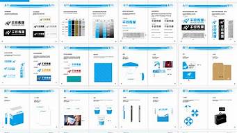 vi設(shè)計手冊完整版pdf（vi設(shè)計手冊完整版案例）