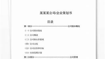 企業(yè)策劃書怎么寫（企業(yè)策劃書模板范文）