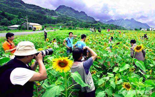 私人開發(fā)鄉(xiāng)村旅游項目