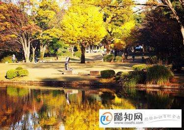 明珠湖公園景觀設(shè)計(jì)（明珠湖公園景觀設(shè)計(jì)理念）