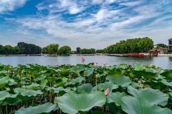 北京蓮花池公園景觀設(shè)計(jì)（北京蓮花池公園景觀設(shè)計(jì)理念）