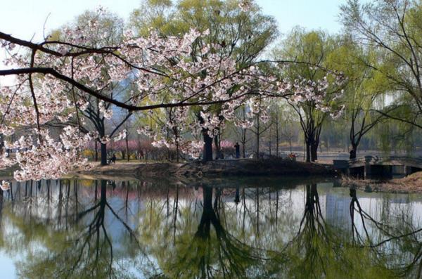 北京蓮花池公園景觀設(shè)計(jì)（北京蓮花池公園景觀設(shè)計(jì)理念）