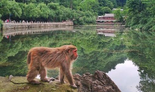 花溪公園景觀設(shè)計（花溪公園景觀設(shè)計特點）