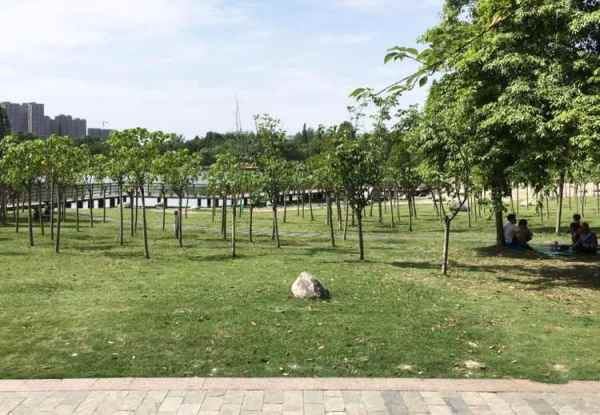 空港運動公園景觀設(shè)計（空港運動公園景觀設(shè)計方案）