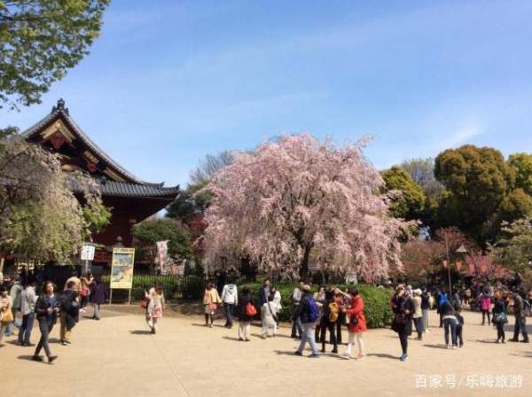 上野公園景觀設(shè)計（上野公園景觀設(shè)計招標）