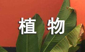 四季景觀設計（四季景觀設計說明）