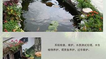 南京企業(yè)景觀設(shè)計養(yǎng)護（南京企業(yè)景觀設(shè)計養(yǎng)護招標）