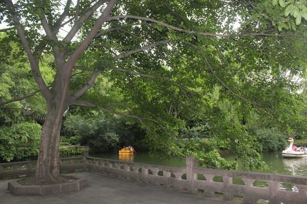 杭州望江公園景觀設(shè)計(jì)（杭州望江公園景觀設(shè)計(jì)理念）