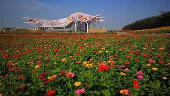 宿遷花海景觀設(shè)計理念（宿遷的花海）