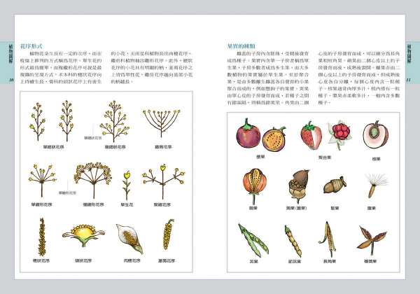 療愈花園植物的書籍（療愈花園植物的書籍叫什么）