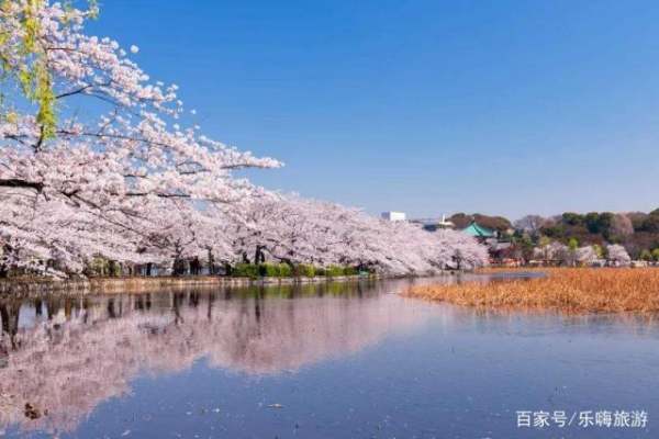 上野公園景觀設(shè)計（上野公園景觀設(shè)計招標）