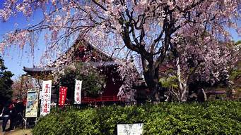 上野公園景觀設(shè)計（上野公園景觀設(shè)計招標）