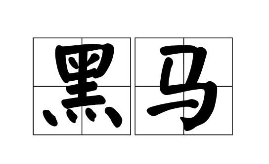 黑馬培訓(xùn)機構(gòu)（黑馬培訓(xùn)機構(gòu)怎么樣）