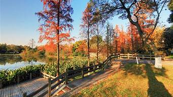 杭州公園景觀設(shè)計(jì)風(fēng)格（杭州公園景觀設(shè)計(jì)風(fēng)格分析）