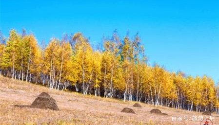 草原樹林景觀設(shè)計(jì)（草原樹林景觀設(shè)計(jì)方案）