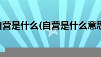 自營企業(yè)是啥意思（自營型企業(yè)）