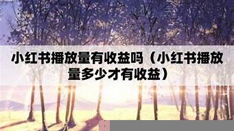 小紅書播放量在哪里看（小紅書播放量在哪里看）