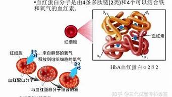 缺鐵性貧血是地中海貧血嗎