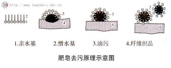 關于衣服之中的化學知識（關于衣服之中的化學知識有哪些）