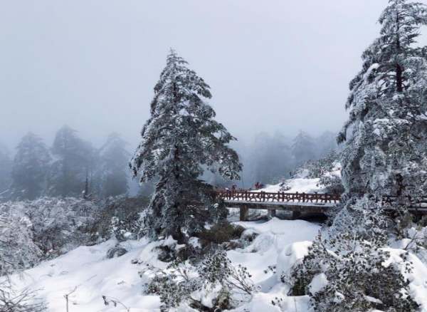 瓦屋山景觀設(shè)計(jì)圖紙（瓦屋山景觀設(shè)計(jì)圖紙圖片）