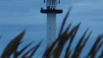 lighthouse（lighthouse app華為）