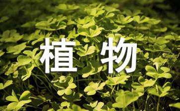 植物景觀設(shè)計(jì)怎么組成