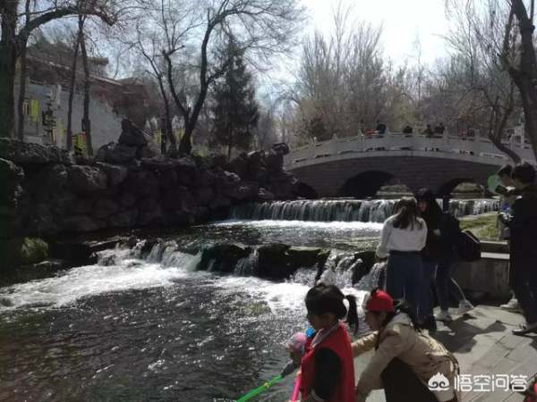 烏魯木齊公園生態(tài)景觀設(shè)計(jì)（烏魯木齊公園生態(tài)景觀設(shè)計(jì)圖）