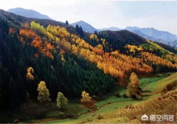 烏魯木齊公園生態(tài)景觀設(shè)計(jì)（烏魯木齊公園生態(tài)景觀設(shè)計(jì)圖）