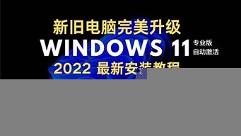 windows11專業(yè)版無(wú)法激活（windows11專業(yè)版永久激活）