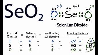 基礎seo是做什么的（基礎seo是做什么的）