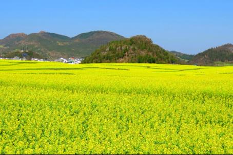 麗江旅游排行榜（麗江旅游排行榜前十）