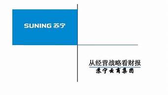 蘇寧電器案例分析（蘇寧電器案例分析 財(cái)務(wù)分析）