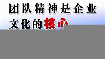 個(gè)人總結(jié)團(tuán)隊(duì)精神（個(gè)人總結(jié)團(tuán)隊(duì)精神怎么寫(xiě)）